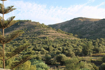 Montagne du Maroc 