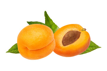 Apricots with leaves isolated on white background with clipping path