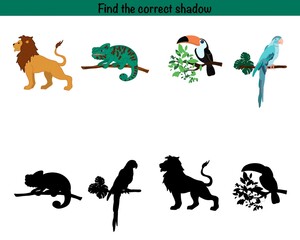 Find the correct shadow. Animals 