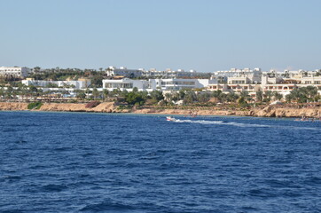 Fototapeta premium sea