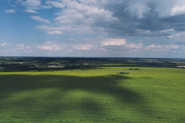 Green fields, the nature of Ukraine. Photo from a drone, from a height.