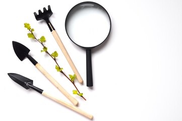 Studying plants with a magnifying glass. Gardening at home. Gardening tools Kit. Growing on windowsill.Studying the structure of leaves with a magnifying glass. 