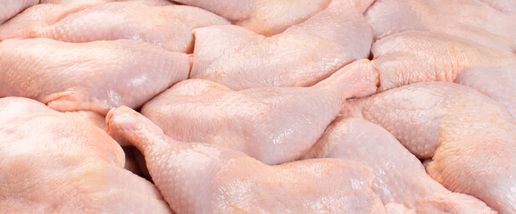 Raw chicken meat.Fresh chicken leg with skin many pieces close-up for a supermarket, retail.