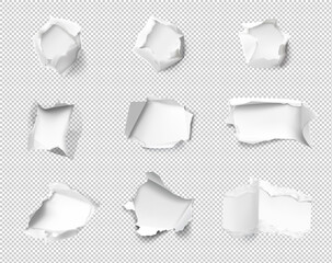 Realistic holes in paper isolated on transparent background. Vector illustration element ready for your design. EPS10.