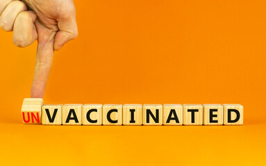 Vaccinated or unvaccinated symbol. Doctor turns a wooden cube and changes words 'unvaccinated' to 'vaccinated'. Beautiful orange background, copy space. Medical, vaccinated or unvaccinated concept.