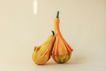 Two pumpkins lean on each other on light neutral background. Autumn concept. Front view