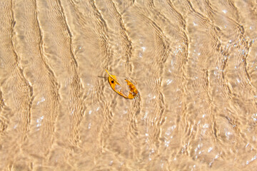  areia coberta por um fio de água translúcida e uma folha amarela e com ondas formadas pelo vento