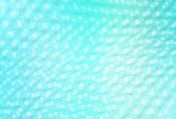 Light Green vector backdrop with dots.