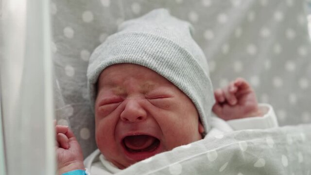 Newborn Baby Red Cute Face Portrait Early Days Crying In Medical Glass Bed On Grey Background. Child At Start Minutes Of Life On Hat. Infants, Childbirth, First Moments Of Borning, Beginning Concept