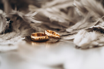 Golden rings. Love photo. Idea
