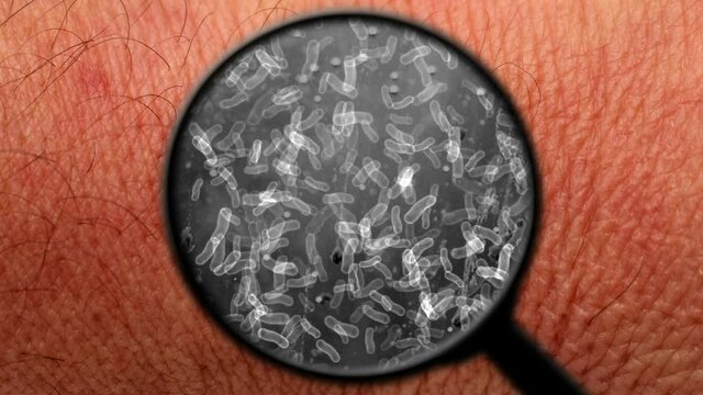 Searching for bacteria on human skin