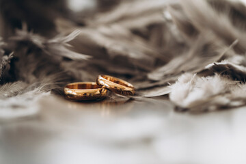 Golden rings. love concept. 