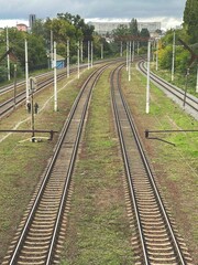 Fototapeta na wymiar Vertical shot of railroad tracks near trees in the city