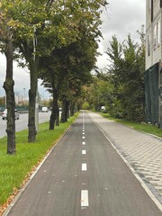 Cycle lane on the sidewalk in the city