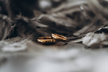 Golden rings. Wedding day. Wedding photo. Background. Sensual. 