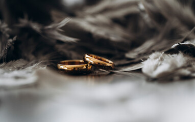 Golden rings. Love concept. Wedding day. Sensual. Gold. 