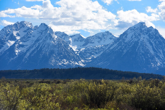 Beautiful view of high mountains with snowy peaks elevating over high dense trees on a sunny day - Powered by Adobe