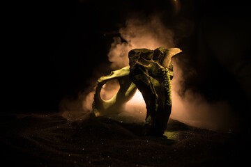 Animal bone in dark Halloween night with fog and light on background / Selective focus and space...