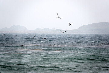 Naklejka premium Isles of Scilly, England, August 2021
