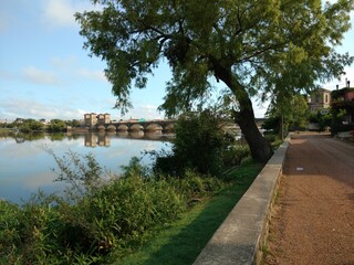 bridge over the river