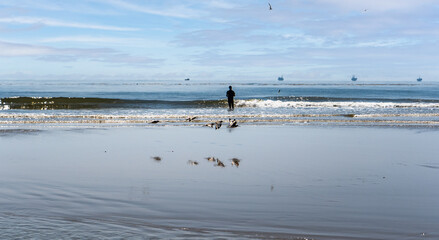 Fisherman fishing on beach with oil rig drilling platforms offshore in the ocean and reflection of seabirds on the water