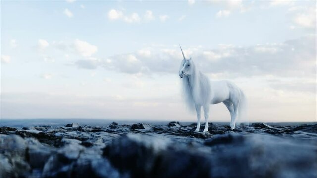 standing white magical unicorn in rocks. Realistic 4k animation.