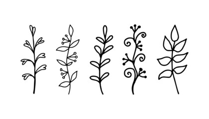 Hand drawn linear leaves, branches. Botanical elements growing plants. Vector illustration