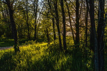 Fototapeta premium Iowa West Des Moines Raccoon River State Park Sunset