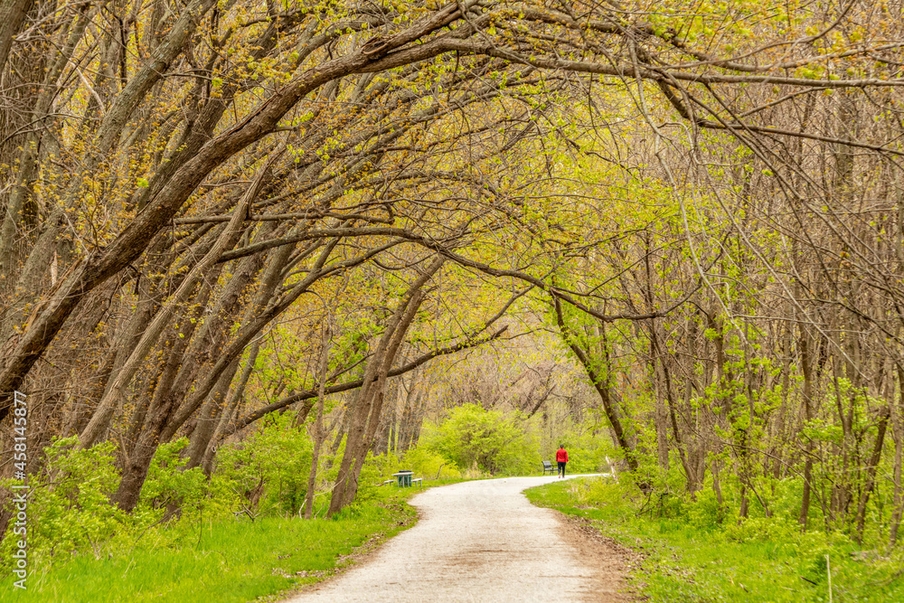 Wall mural iowa raccoon river park recreation area