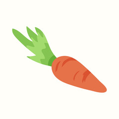 Carrot. Vector illustration in flat style