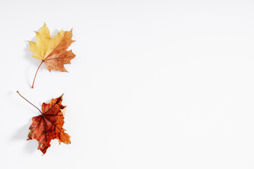 Autumn creative composition on white background. Fall concept. Autumn background. Flat lay, top view, copy space