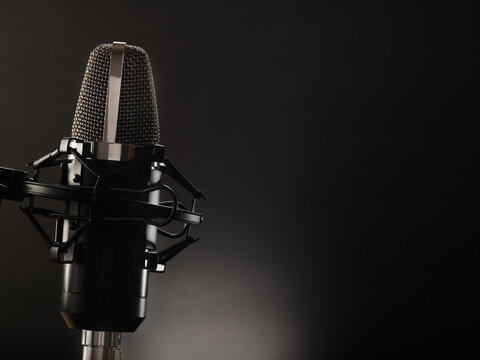 Professional microphone on a gray background. There is no one in the photo. There is an empty space for insertion. Recording studio, purity of sound, concert, debate, radio, television.