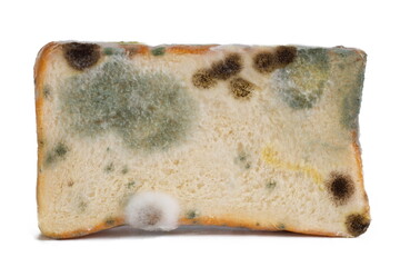 Mold on bread on white background,expired food concept.