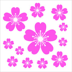 pattern with pink Sakura flowers