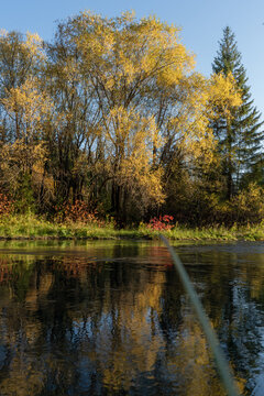 autumn in the park