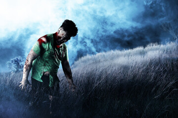 Scary zombie with blood and wound on his body walking