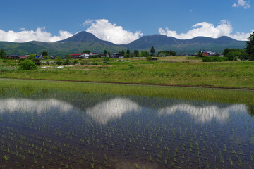 Mountains reflected in rice fields and Japanese villages