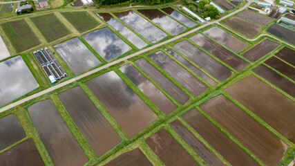 Paddy fields just filled with water that reflects the sky A