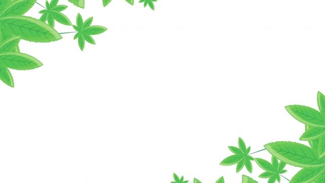 cannabis leafs border frame animation