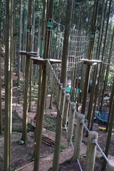 直立する樹林の間に設置されたたくさんのアトラクション、アウトドア外遊びアスレチック、高所でドキドキする綱渡り、17