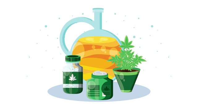 medical cannabis plant with pots and oil animation
