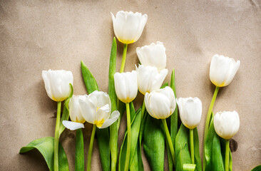 A bunch of fresh white tulips