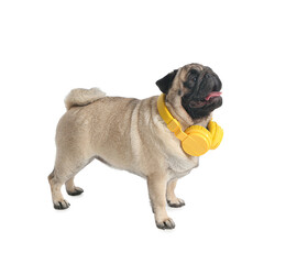 Funny pug dog with headphones on white background