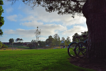 Fototapeta premium Motorcycles in the park