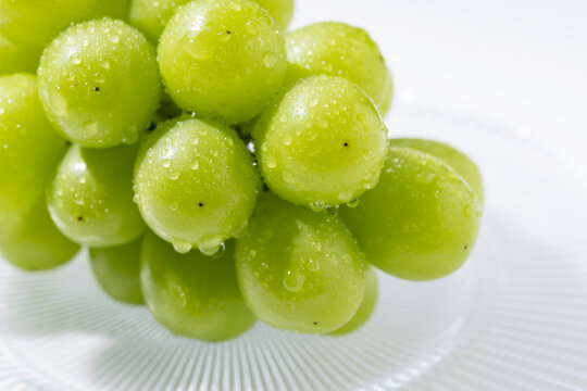 Shine-Muscat grapes with water droplets on a glass plate set against a white background.