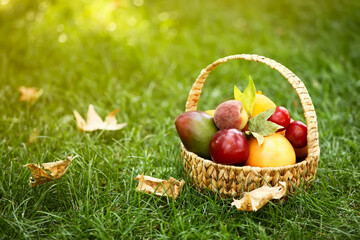 Wicker basket with fresh fruits on grass