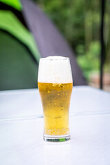 キャンプで飲むビール
バーベキューで飲むビール