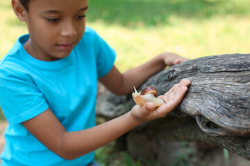 Little boy with snail outdoors