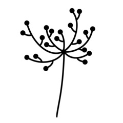 Plant sprig vector icon. Hand drawn doodle isolated on white background. Stem with large inflorescence and round seeds. Botanical monochrome sketch. Wild flower illustration.