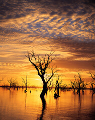 Menindee lakes, New South Wales at sunset.